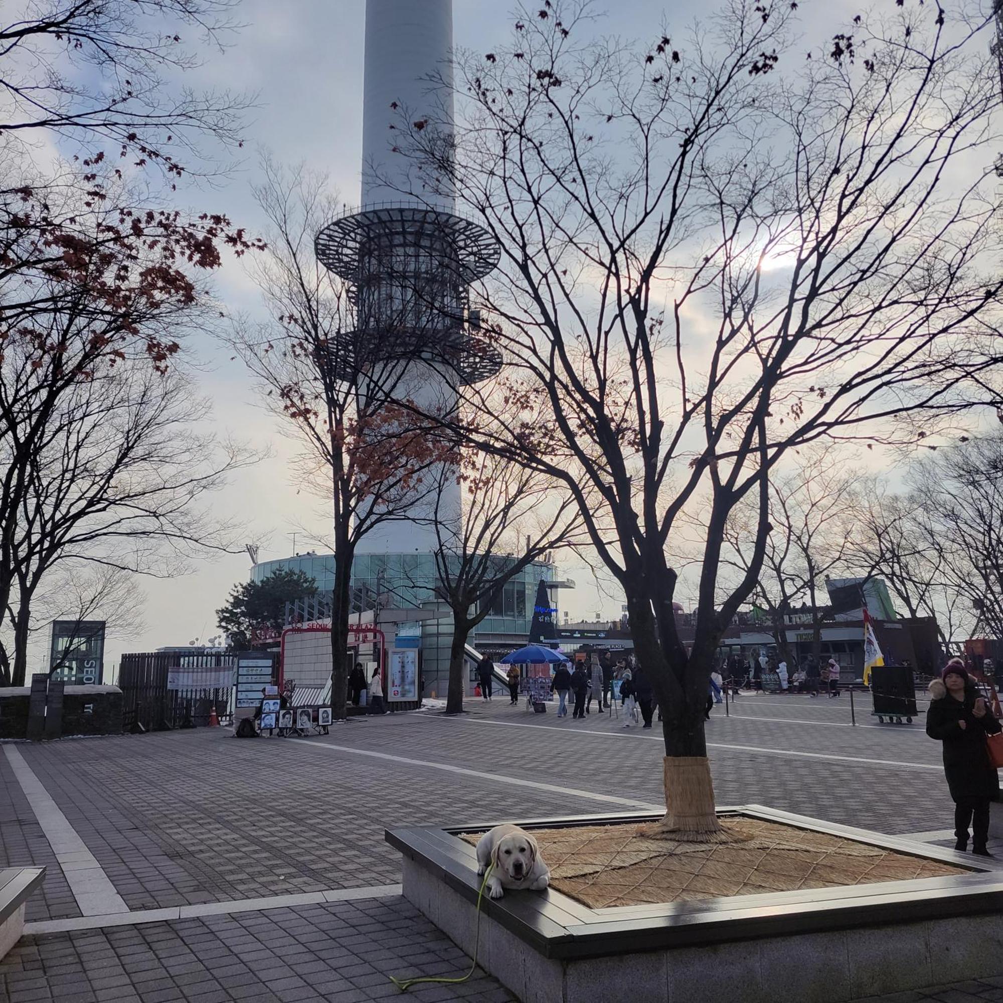 Newly Renovated Cozy Studio#9 * Seul
